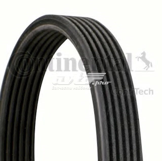 Pas napędowy mechanizmów Continental/Siemens 6DPK1853 cena, od 29,09 USD