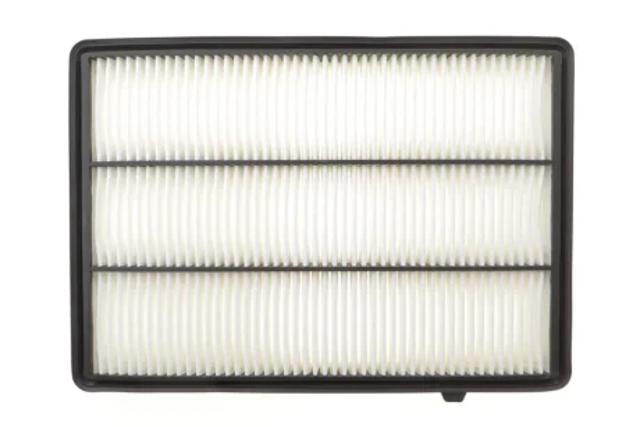 SX165465NA1C Shafer Filtr powietrza