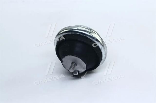 Poduszka (podpora) silnika prawa Rider RD39040684275 cena, od 21,54 USD