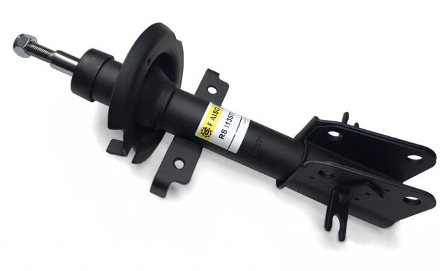 Amortyzator przedni Raiso RS313577 cena, od 54,00 USD