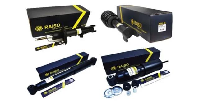  Raiso RS315911