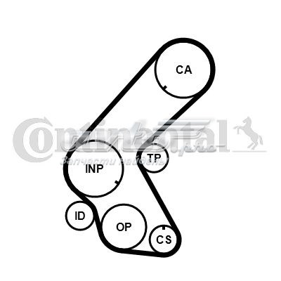 CT1078K1 Continental/Siemens pasek rozrządu, zestaw