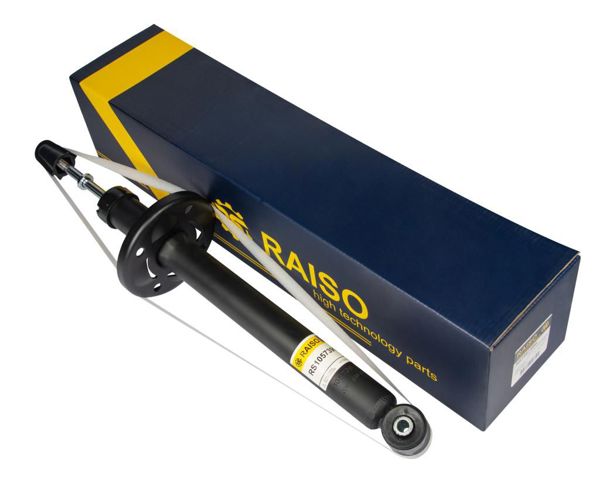 RS105739G Raiso Amortyzator tylny