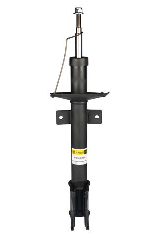 Do koszyka RS316290 Raiso Amortyzator tylny