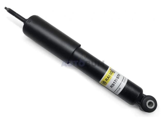 RS170579 Raiso Amortyzator przedni