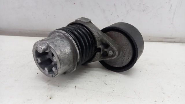 Napinacz paska napędowego Renault (RVI) 117506193R