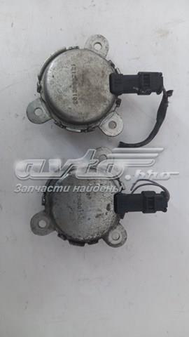 Regulator faz rozrządu Ford Focus 3 (CB8)