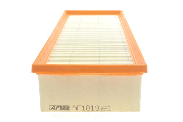 AF1819 Alpha Filter Filtr powietrza