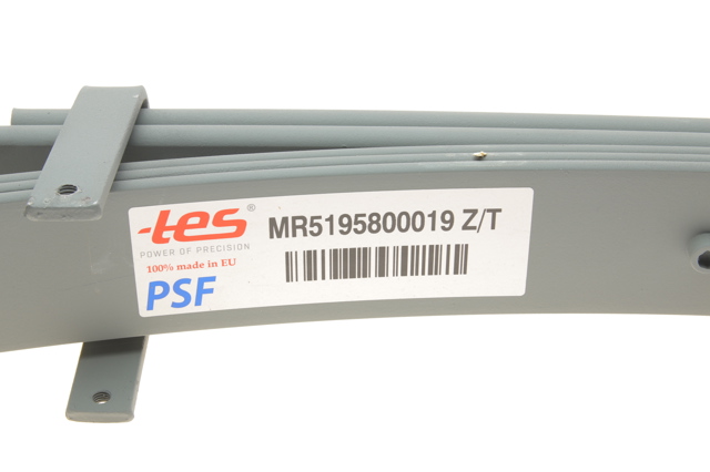 MR5195800019ZT TES Resor tylny