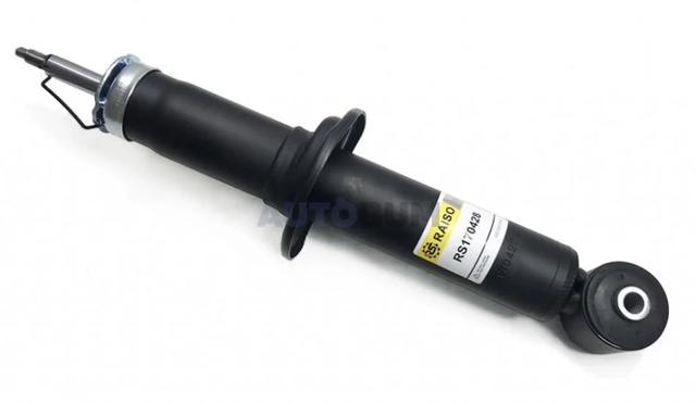 Amortyzator tylny Raiso RS170428 cena, od 47,46 USD