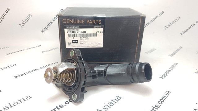 255002GGA0 Hyundai/Kia Termostat