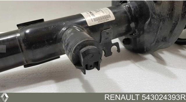 Amortyzator przedni 543024393R Renault (RVI)