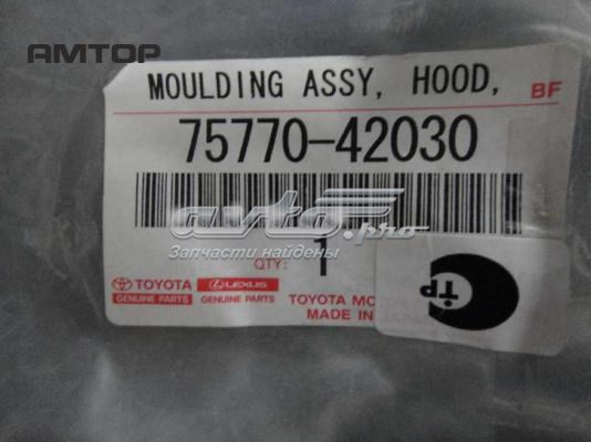 Do koszyka 7577042030 Toyota Listwa ochronna maski