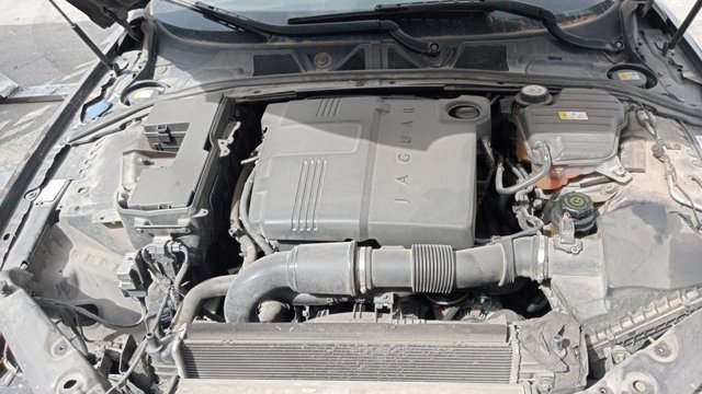 Silnik w komplecie 224DT Jaguar