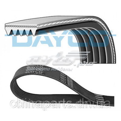 Pas napędowy mechanizmów E030000401 Dayco
