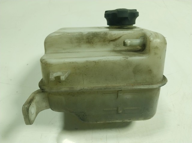 Zbiorniczek wyrównawczy układu chłodzenia do KIA Carens III 