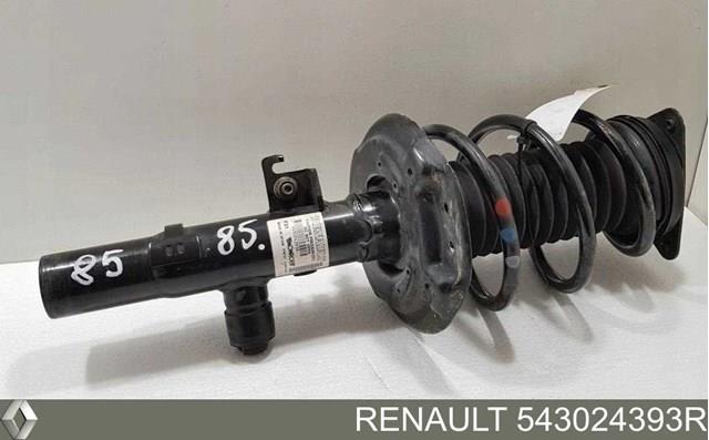 Do koszyka 543024393R Renault (RVI) Amortyzator przedni