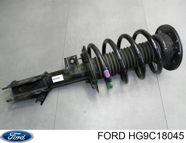 Do koszyka HG9C18045 Ford 