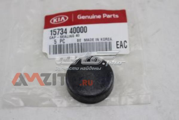 1573440000 Hyundai/Kia zaślepka głowicy cylindrów/bloku cylindrów