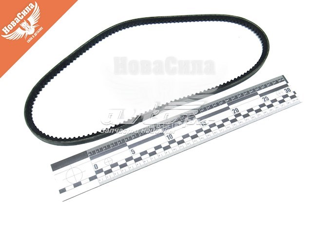 Do koszyka 10A0888C Dayco Pas napędowy mechanizmów