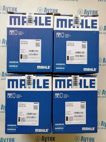 0400290 Mahle Original Zestaw tłokowy (tłok+tuleja)