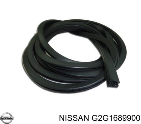  Uszczelka szyby przedniej Nissan JUKE 