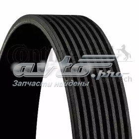 Pas napędowy mechanizmów Continental/Siemens 8PK1365 cena, od 23,17 USD