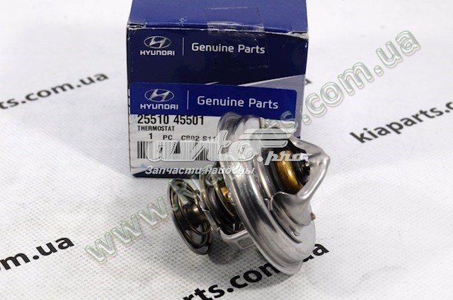 Do koszyka 2551045501 Hyundai/Kia Termostat