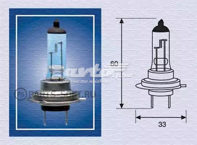 2558100000 Magneti Marelli żarówka halogenowa