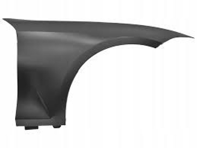 Do koszyka 41008494440 China Błotnik przedni prawy