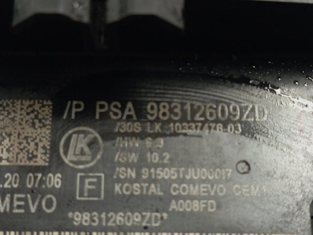 98093198ZD Peugeot/Citroen 