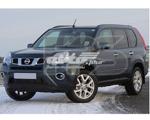 Do koszyka Listwa ochronna szyby przedniej Nissan X-Trail  T31
