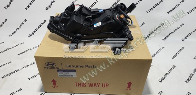 922022W520 Hyundai/Kia Lampa przeciwmgielna prawa
