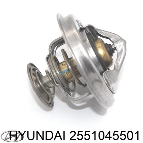 2551045501 Hyundai/Kia Termostat