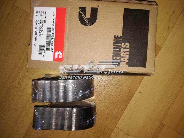 4893693 Cummins