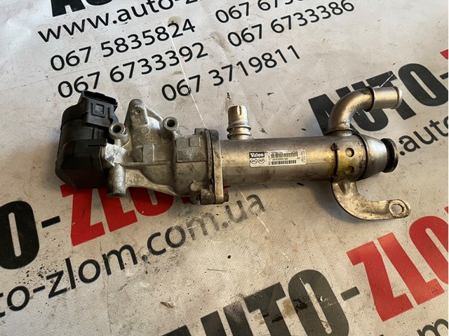 9645689780 Peugeot/Citroen chłodnica układu recyrkulacji spalin egr