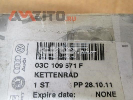 Do koszyka 03C109571F VAG Koło zębatewalcowe wałka rozrządu silnika