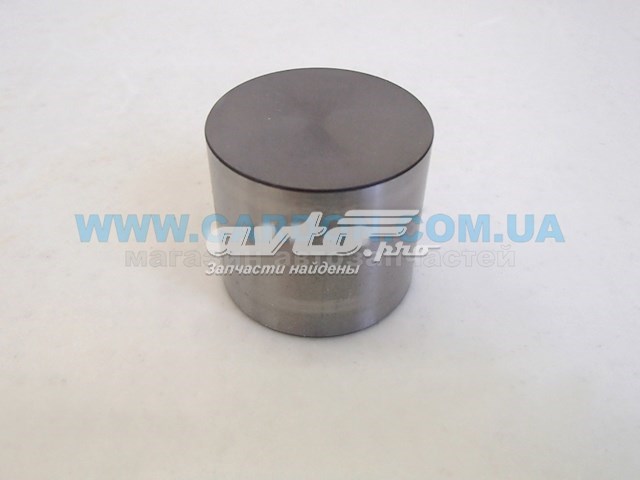 Kompensator hydrauliczny (popychacz hydrauliczny), popychacz zaworu Mazda 6 sedana (GG) (2002 - 2008) cena, od 12,28 USD