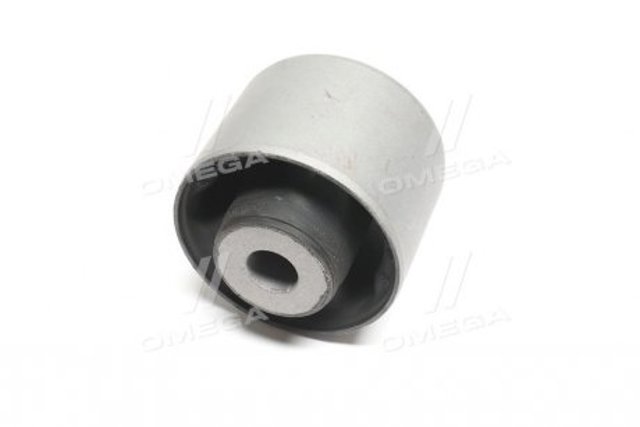 CVKH201 CTR Silentblock tylnej belki
