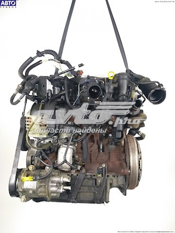 Do koszyka RHRDW10BTED4 Peugeot/Citroen Silnik w komplecie