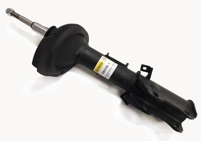 RS311645 Raiso Amortyzator przedni