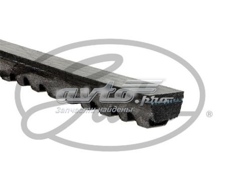 Do koszyka 13A0965C Dayco Pas napędowy mechanizmów