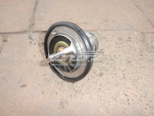 LFB479Q1306100A Lifan Termostat