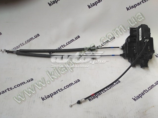 Do koszyka 814202H010 Hyundai/Kia Zamek drzwi tylnych prawych