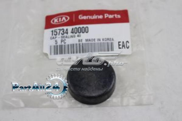 Do koszyka 1573440000 Hyundai/Kia Zaślepka głowicy cylindrów/bloku cylindrów