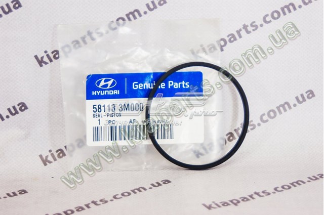Do koszyka 581133M000 Hyundai/Kia Zestaw naprawczy zacisku hamulcowego przedniego