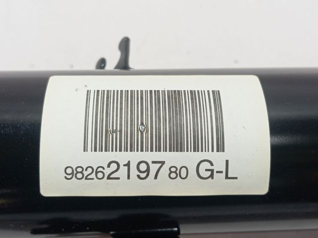 Amortyzator przedni lewy Peugeot/Citroen 9826219780 cena, od 58,14 USD