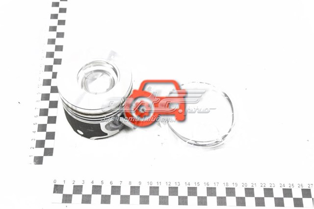 120A10538R Renault (RVI) Tłok, komplet do jednego cylindru, STD