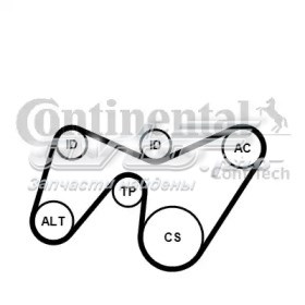 Do koszyka 6PK1642K2 Continental/Siemens Pasek napędowy mechanizmów, zestaw