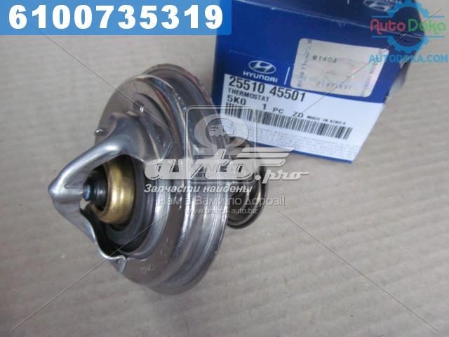 Do koszyka 2551045501 Hyundai/Kia Termostat